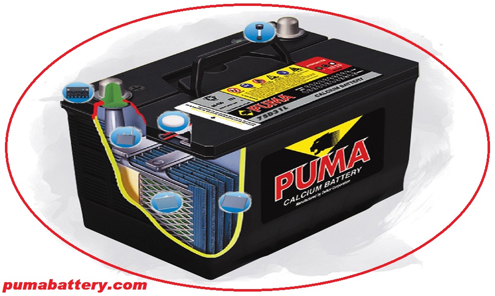 battery puma